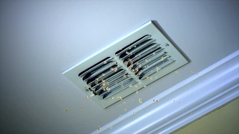 Best Residential Air Duct Cleaning  in Clinton, TN